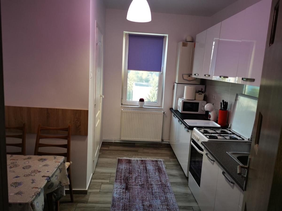 Târgu-Mureş Violet Residence المظهر الخارجي الصورة